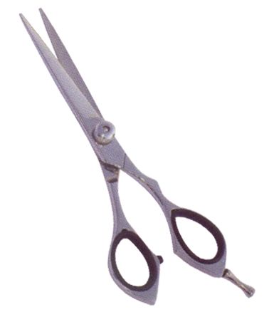 Professional Hair Cutting Scissors 